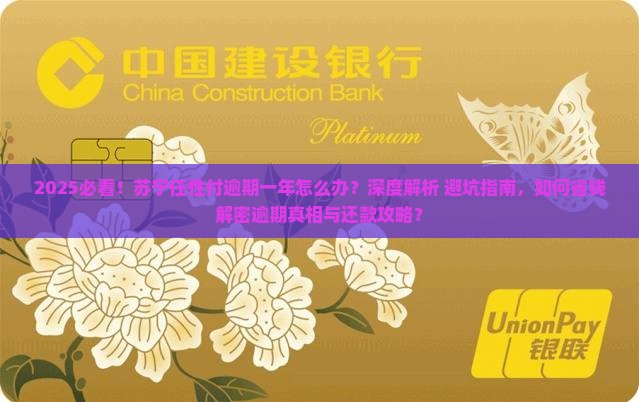 我苏宁任性付逾期一年怎么办