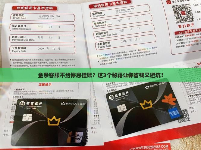 金条客服不给停息挂账怎么办