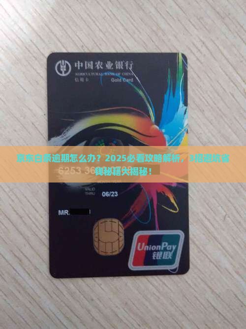 京东白条一般多久逾期一次怎么办理