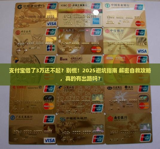 支付宝借了3万还不起怎么办如何解决