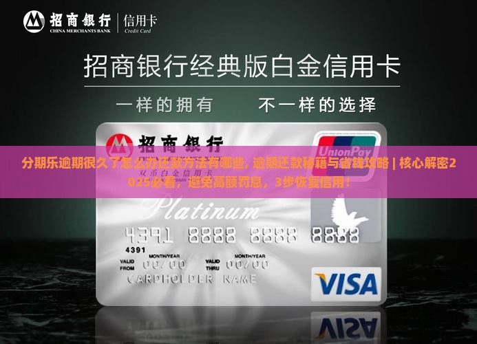 分期乐逾期很久了怎么办还款方法有哪些