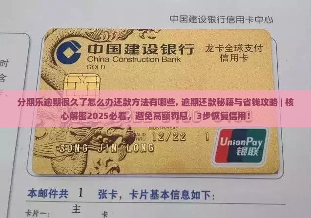 分期乐逾期很久了怎么办还款方法有哪些