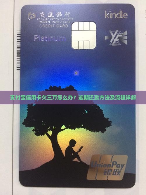 支付宝信用卡欠三万怎么办还款方法及流程