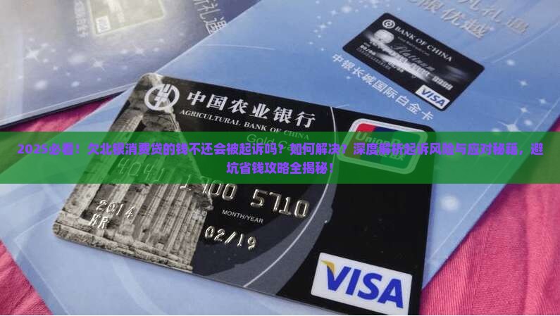 欠北银消费贷的钱不还会被起诉吗如何解决