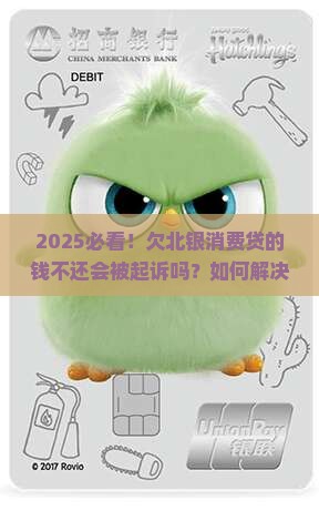 欠北银消费贷的钱不还会被起诉吗如何解决