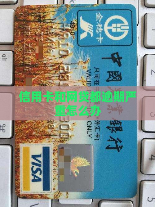 网贷和信用卡都逾期严重如何解决