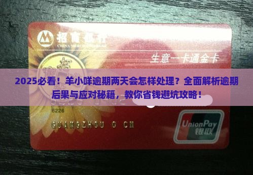 羊小咩逾期两天会怎样处理