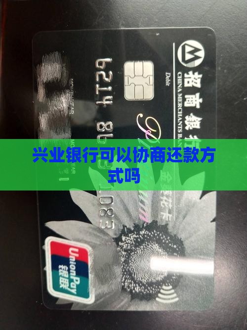 兴业能不能协商还款方式