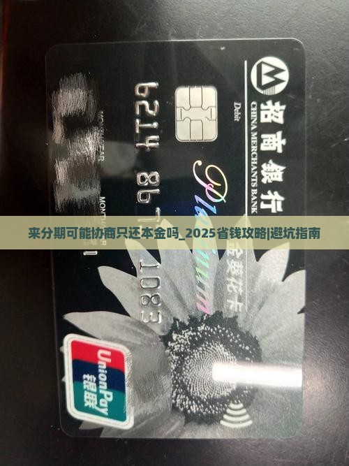 来分期可能协商只还本金嘛