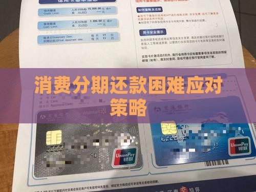 消费分期还款困难问题应对策略