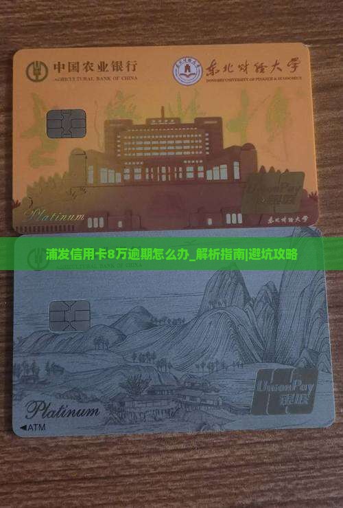 浦发信用卡8万逾期怎么办