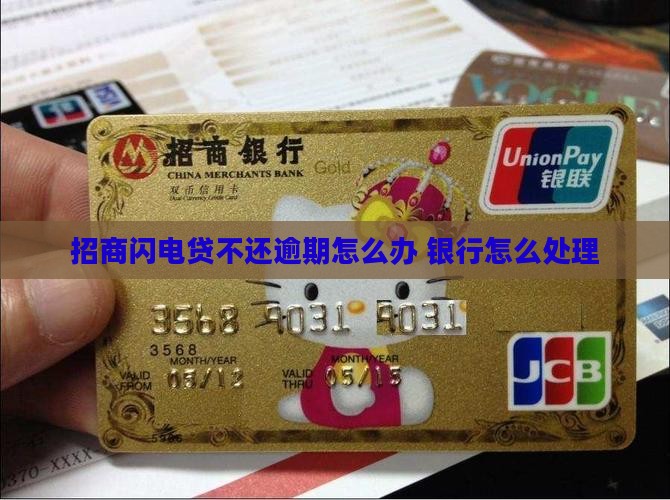 招商闪电贷不还怎么办