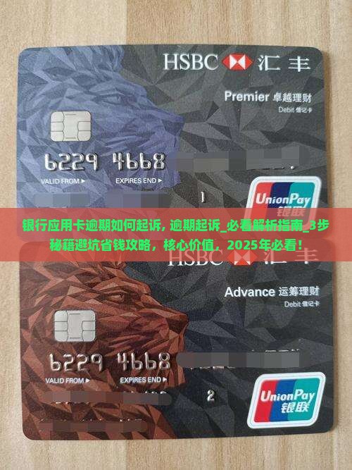 银行应用卡逾期如何起诉