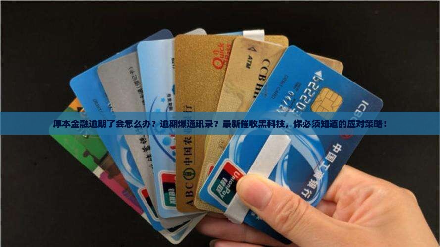 厚本金融逾期了会怎么办