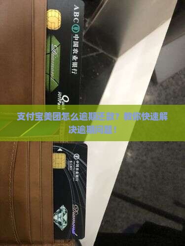 支付宝美团怎么逾期还款