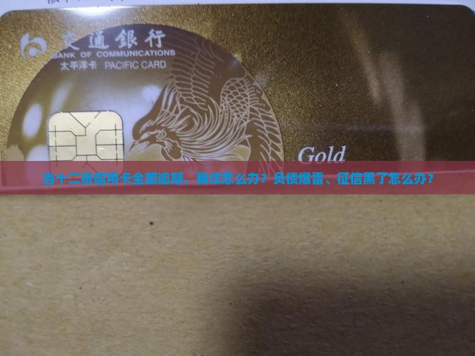 当十二张信用卡全部逾期