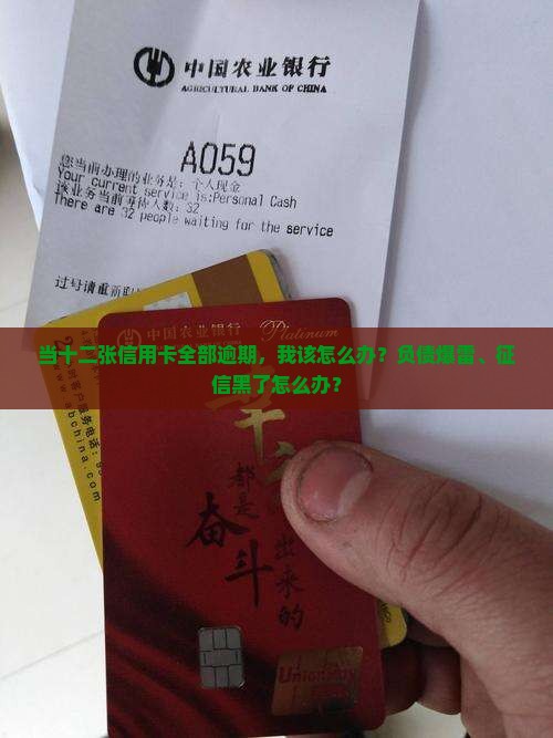 当十二张信用卡全部逾期