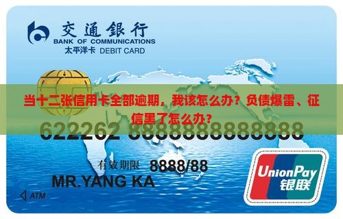 当十二张信用卡全部逾期