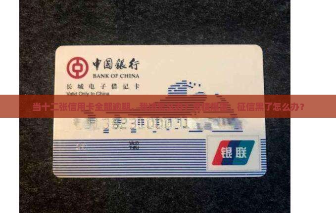 当十二张信用卡全部逾期