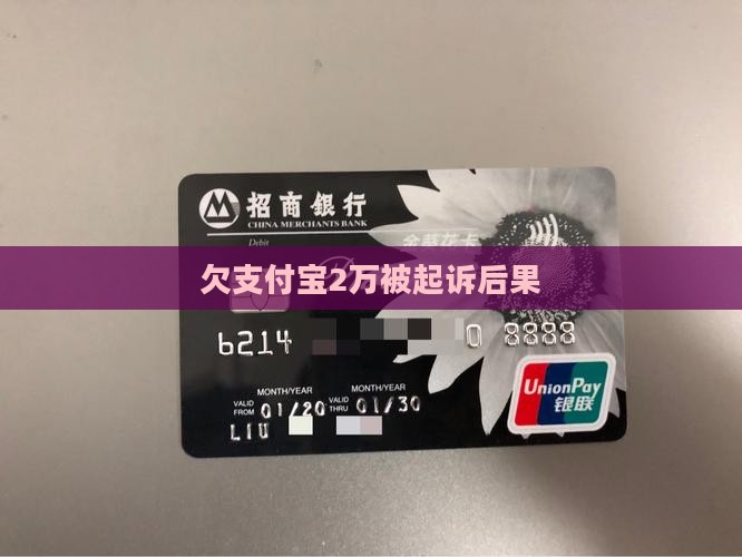 欠支付宝2万被起诉后果