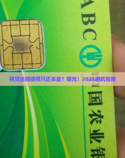 网贷逾期律师只还本金是否合法