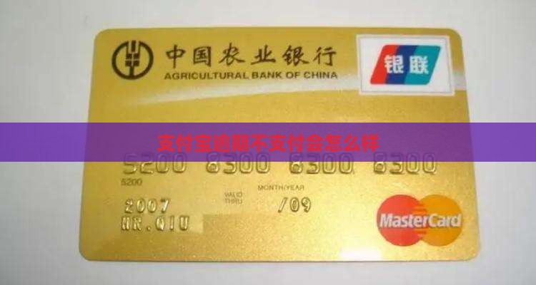 支付宝欠款期限到了会怎么样
