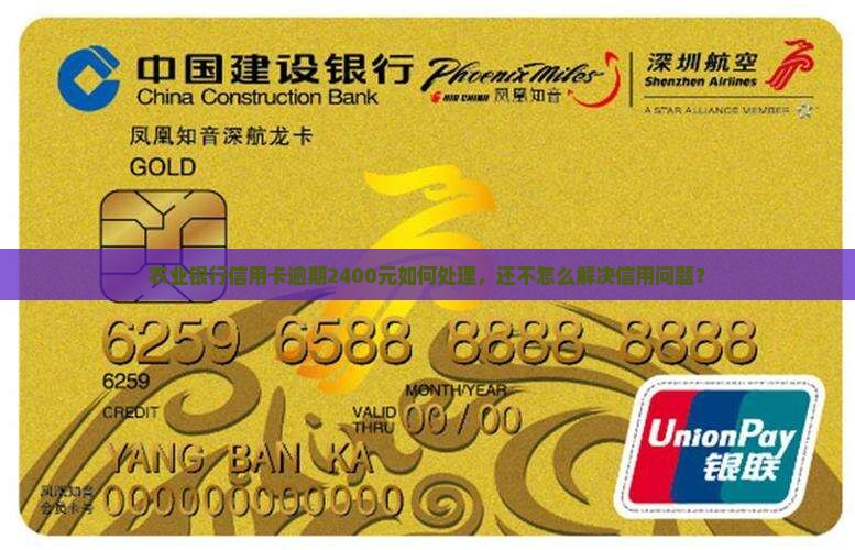 欠农业银行2400元该如何处理