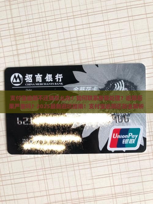支付宝逾期不还钱怎么办应该联系客服处理