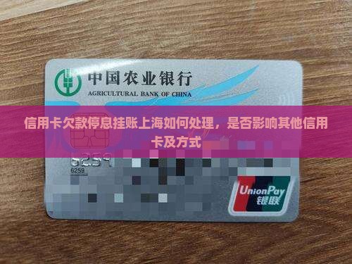 信用卡欠款停息挂账上海如何处理