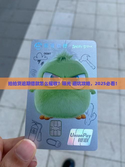 拍拍贷逾期借款如何催收