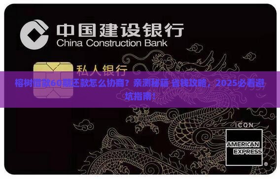 榕树借款如何协商60期还款