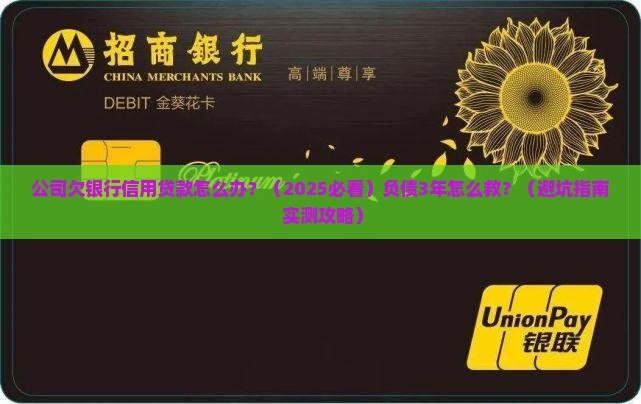 公司欠银行信用贷款怎么办