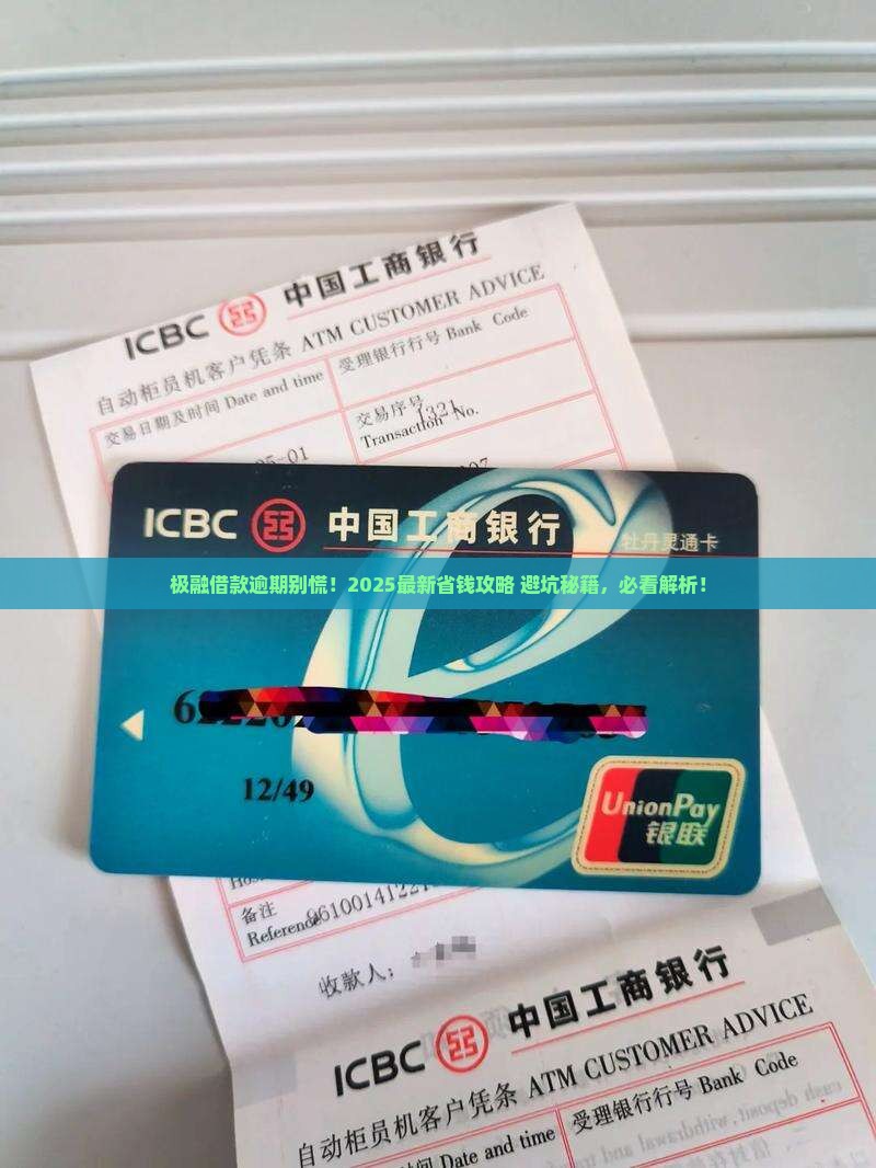 极融借款平台逾期怎么办