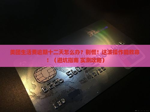 美团生活费逾期十二天怎么办