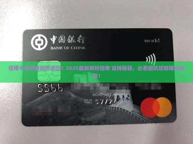 信用卡滞纳金能否追回