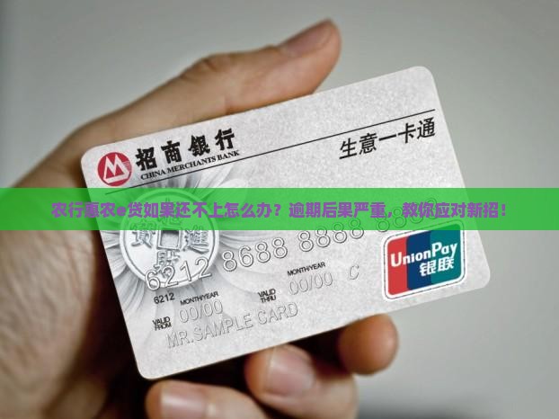 农行惠农e贷如果还不上怎么办