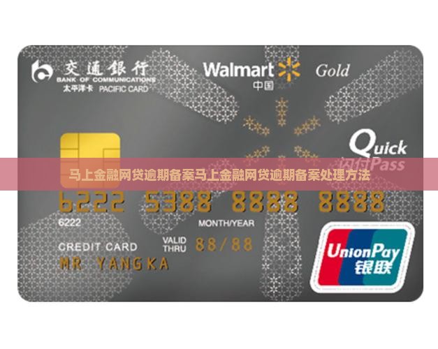马上金融网贷逾期备案