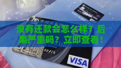 没有还款会怎么样