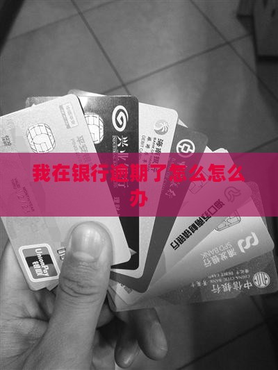 我在银行逾期了怎么办