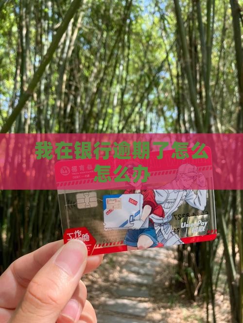 我在银行逾期了怎么办