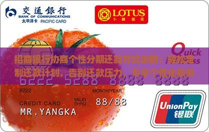 招商银行协商个性分期还款方式说明