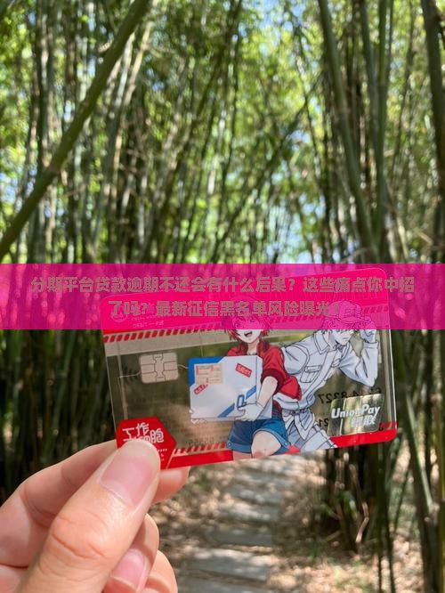 分期平台贷款逾期不还会有什么后果