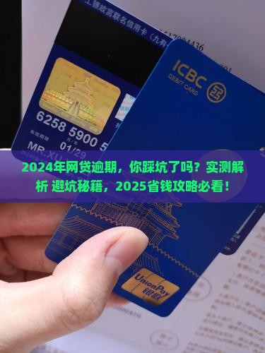 2024年网贷平台逾期