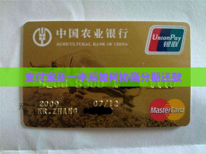 支付宝还一半后如何协商分期还款