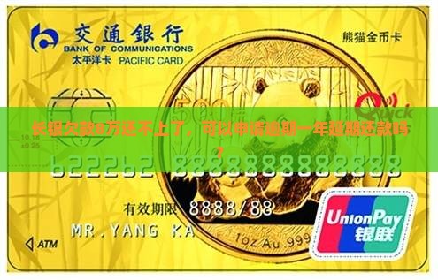 长银58欠了8万还不上能否申请一年后偿还