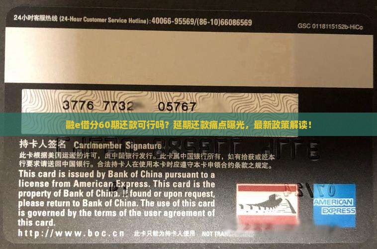 融e借分60期还款可行吗