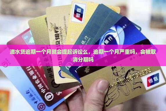 滴水贷逾期一个月就会提起诉讼么