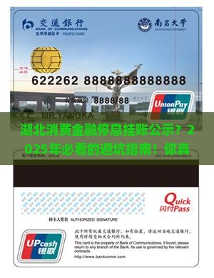 湖北消费金融停息挂账公示