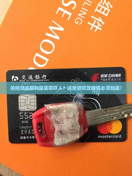 拍拍贷逾期利息高得吓人怎么办