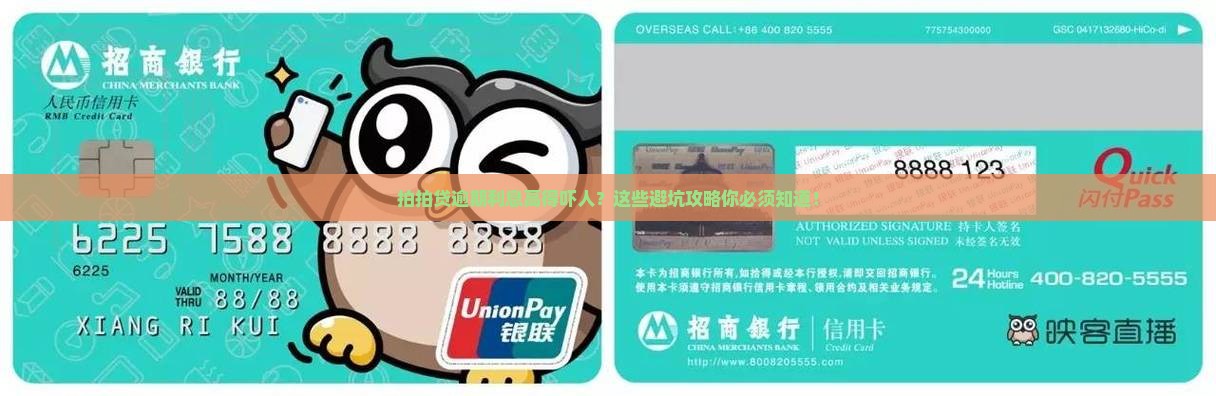 拍拍贷逾期利息高得吓人怎么办